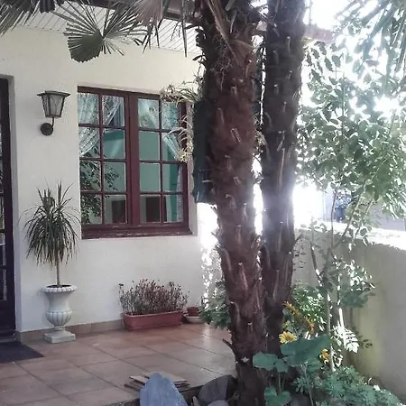 Bed & Breakfast Edelweiss